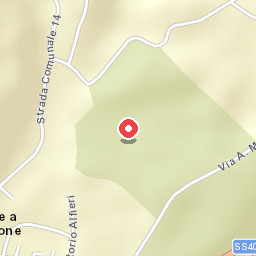 Picchio Della Tinaia