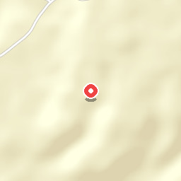 Concino