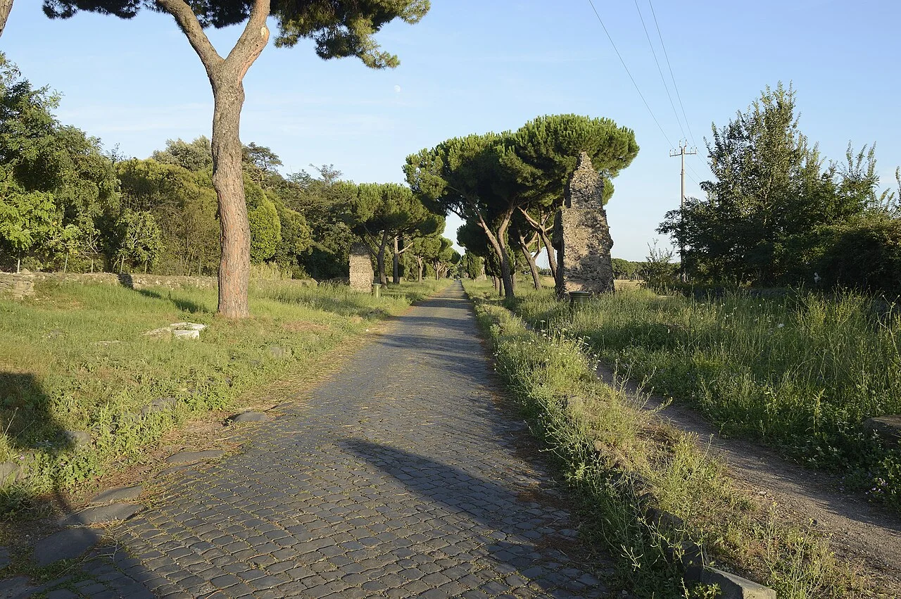 Vigna