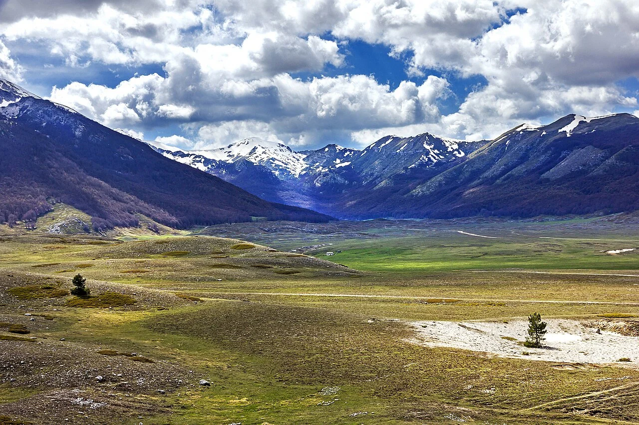 Area naturale protetta di interesse locale Artimino