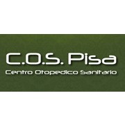 Centro Ortopedico Sanitario Pisa