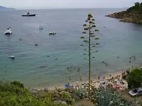 Fiume Albegna