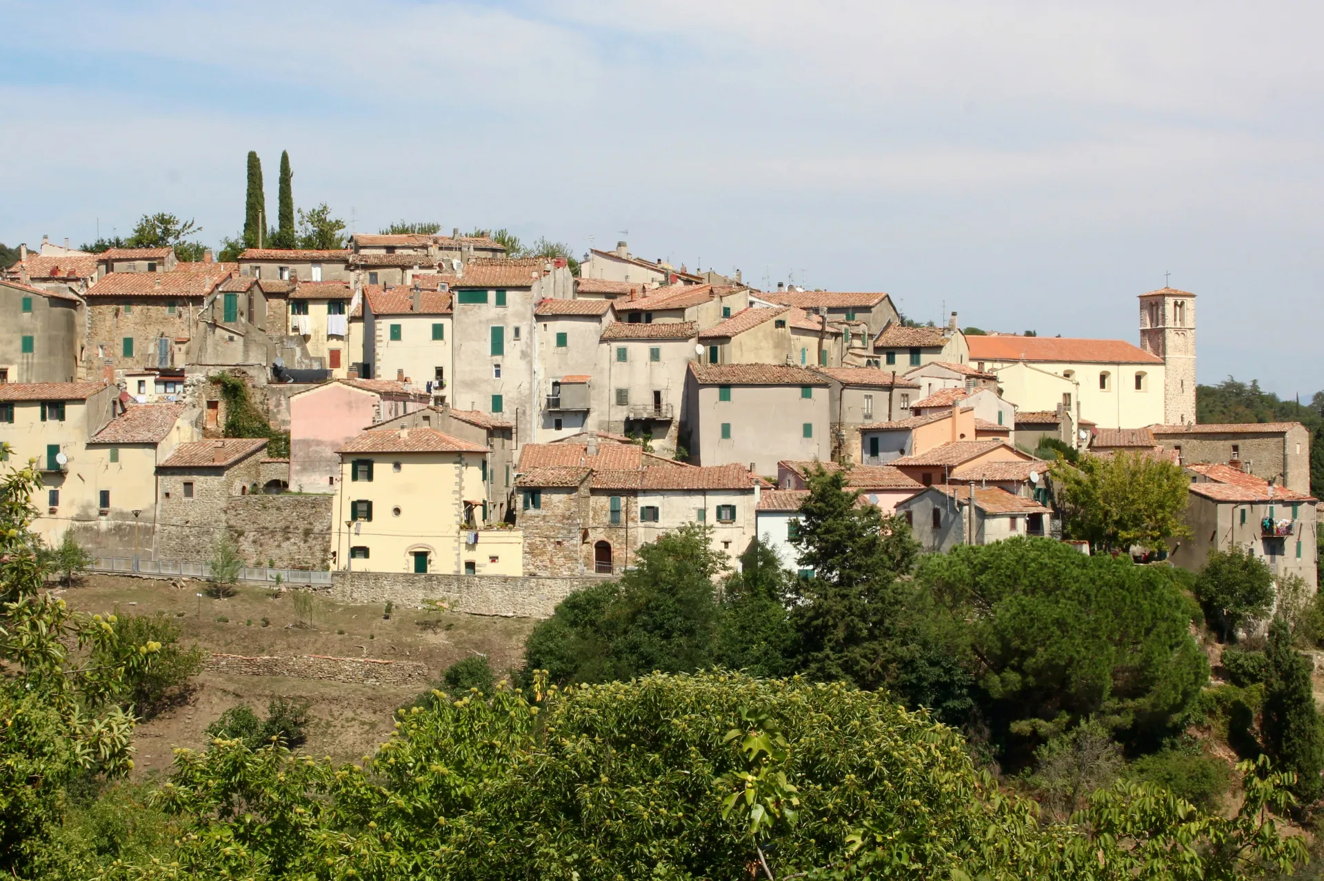 Scansano