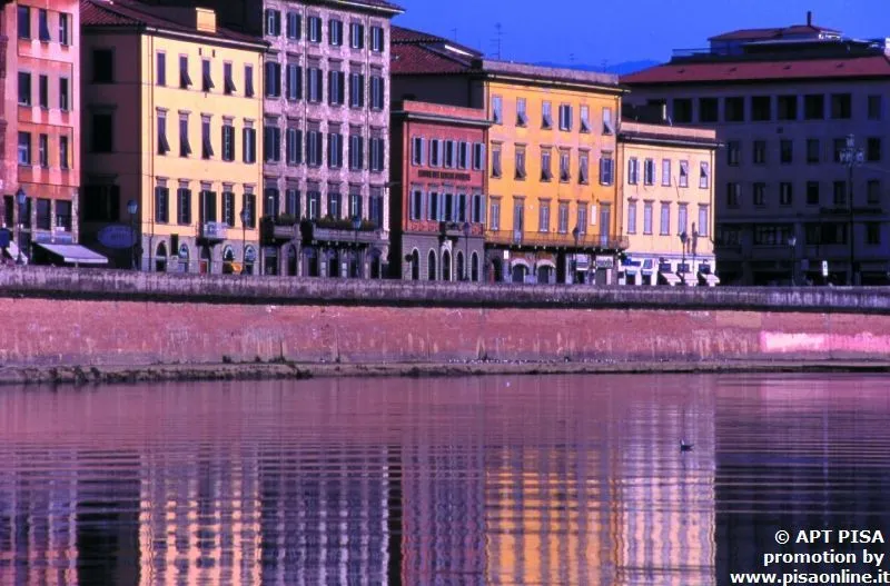 Riparbella