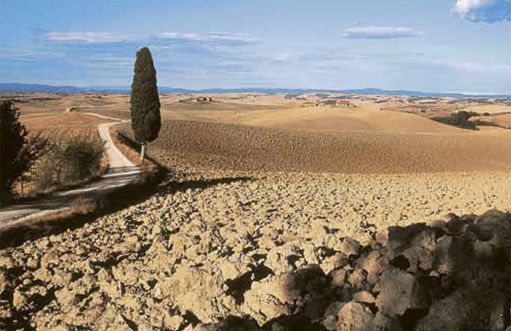 Cetona 4