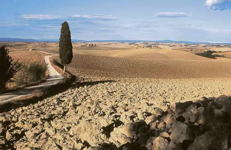 Castelnuovo Berardenga