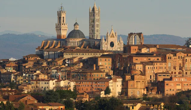 Toscana Ambassador