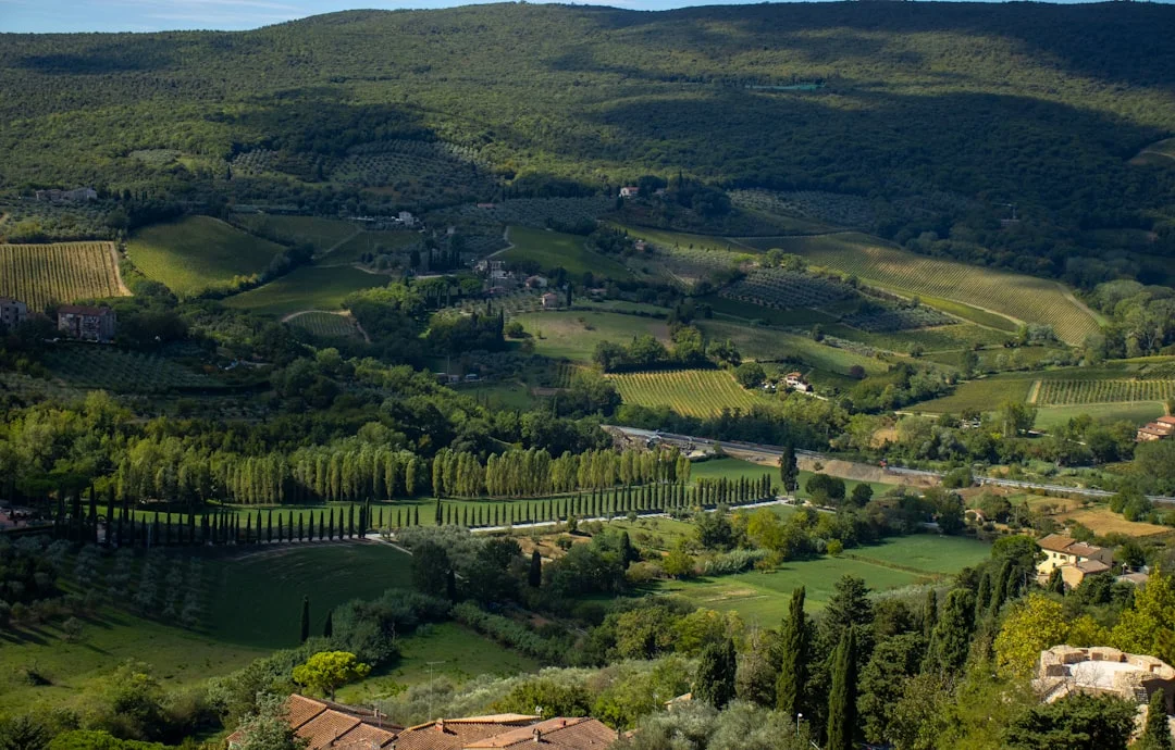 Montepulciano 4